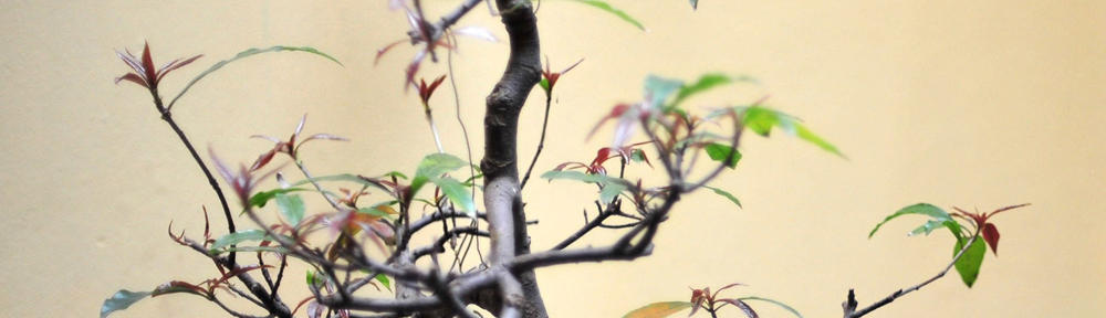 工業硬質皮膜 硬膜陽極處理 陽極處理 硬質皮膜處理 – 鑫功金屬股份有限公司